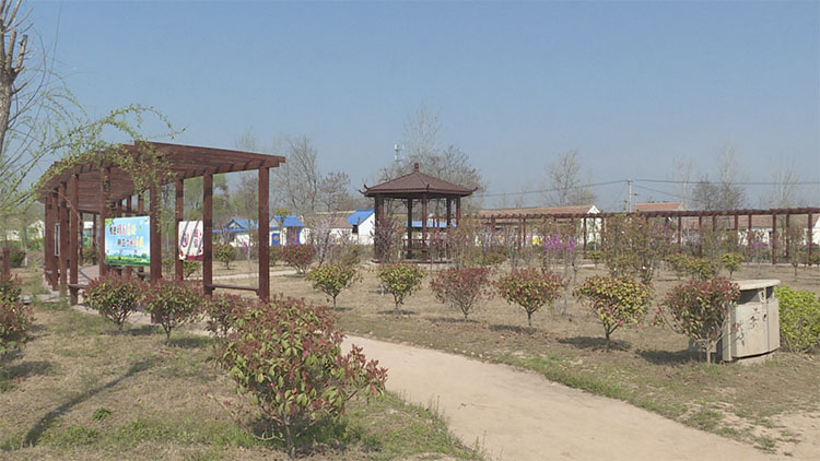 40秒丨菏泽单县:改善人居环境 建设美丽宜居乡村
