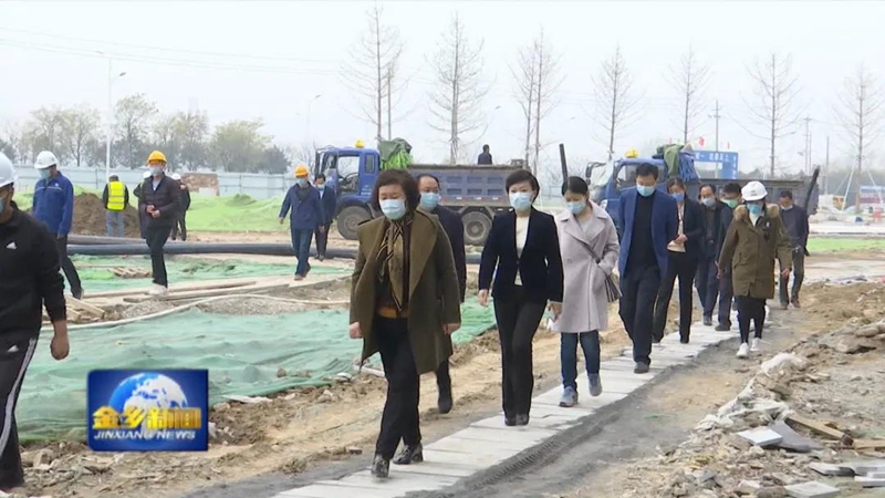 济宁市政协副主席倪丽君来济宁市金乡县调研鱼山片区乡村振兴示范项目